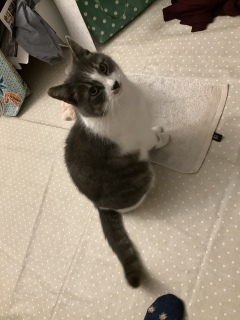 �������܁[