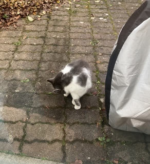 12��14��(��) �o�Ύ��Ԃł�