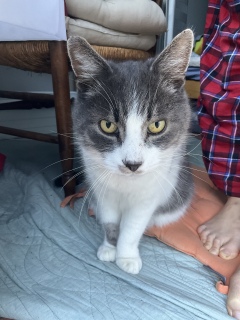 12��15��(��) 10���O�̖ڊo�܂��L