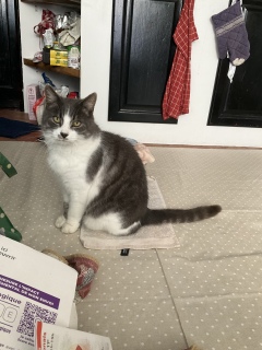 12��16��(��) ���тۂ���