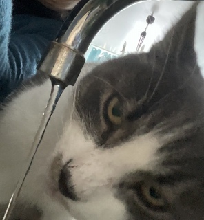 �A�b�v�ɑς��邨��ł�