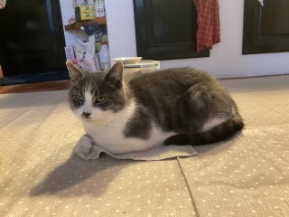 12��22��(��) ����������ɂӂꂠ���T��