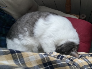 ������鍑�����Ԃɓ���Ă�