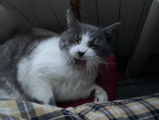 �����у~�j����