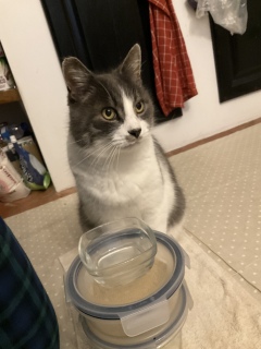 12��23��(��)�@������16����̏o�΂ł�