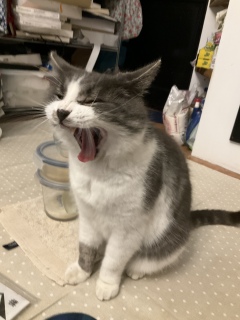 �Ă��C�ۂ��D��