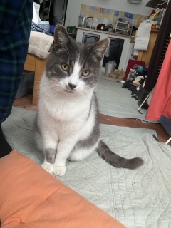 12��24��(��) �K�₪�v���[���g