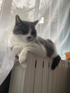 �������i�ʂɊ����˂�