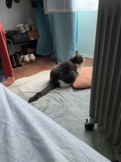 ������������