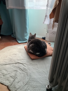 ����������킢����