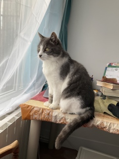 �j���������