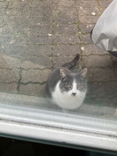 15����ɂ����Ă��ꂽ��