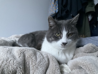 ���˂ނ����ł�