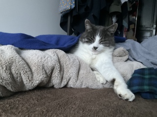 �肪������