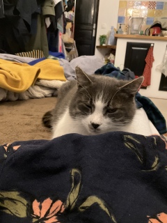 �񖇃Z�[�^�[������������