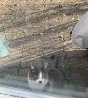 12��28��(��) ��������Ⴂ