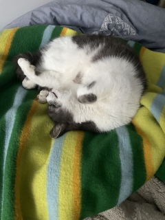 ���낢�ł�