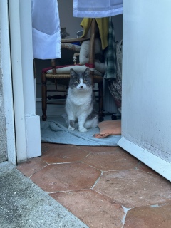 ���q�˂��܂�