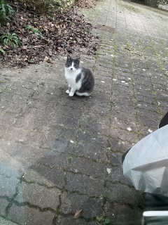 �[�������Ă��ꂽ��