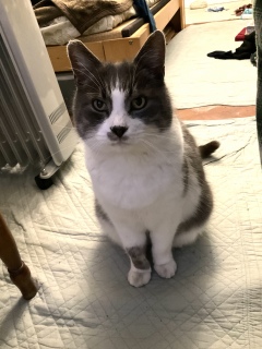 ���{���Ԃ͐V�N�ł�