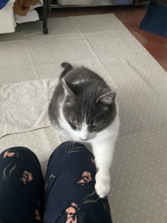 1��1��(��) �����܂��Ă��߂łƂ�����