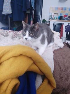 �V�N�����݂���?