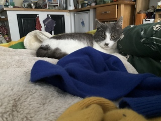 1��2��(��) ��������Ⴂ