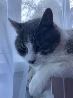 �������܂��Ă�