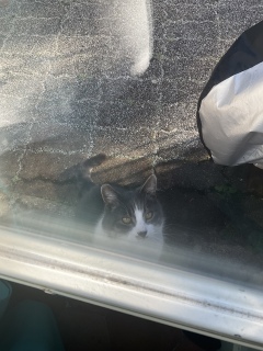 1��3��(�y) ��̒���������Ⴂ