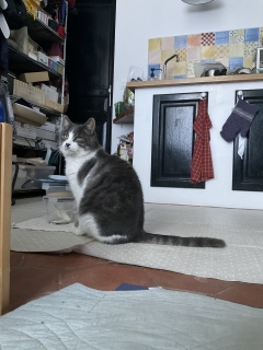 �������܂����炨������