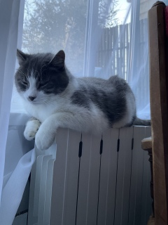 �������܁[