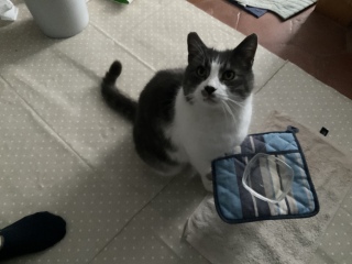 ����S��̌���