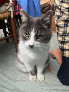 1��5��(��) ���߂߂ς�����