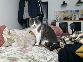 ����^��ł��ꂽ��