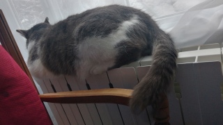 �Q�p����