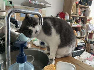 �����݂���