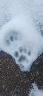 ���ĂĂ��Ȃ���悩��