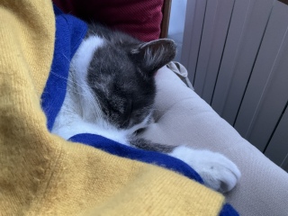 �̒n�͔L���̂���