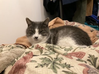 ����̂��Ƃ������났