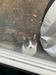 1��9��(��) ���肷��L