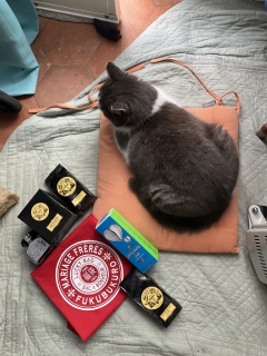 ���N�����܂𒍕�������