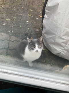 1��10��(�y)�@��������������Ⴂ