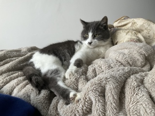 ���X�Ƃ����������܂�