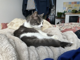 ������ꒆ�ł�