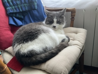 �����͂ˁ[���̂Ƃ��ł����Q�ł�