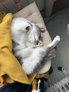 �Z�[�^�[���߂����ĎB�e