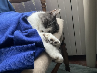 �A�������Ē��Q�̑���