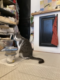 ���ڊo�߂ł�