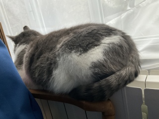 �܂��܂����Q