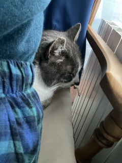 ��q�͂ˁ[��